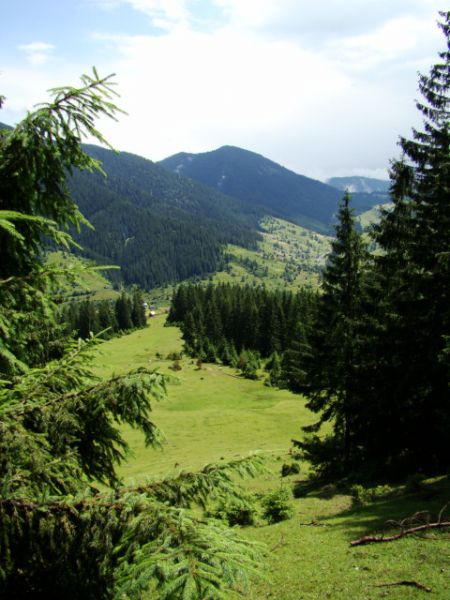 Национальный природный парк Синевир Национальный природный парк Синевир