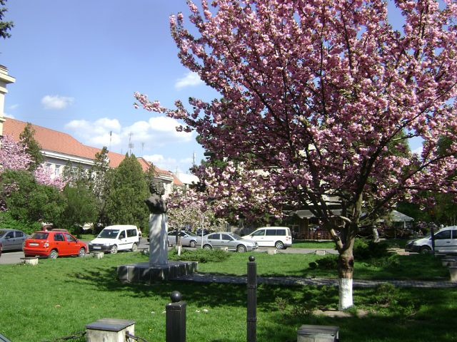 Площадь Пушкина, Ужгород