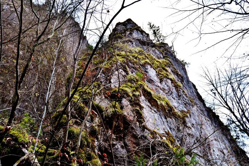 Falconry Bird. Ecotourism route to Falcon Bird Соколиное Бердо. Экотуристический маршрут На Соколиное Бердо