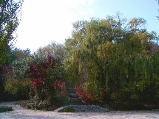 парк Ювілейний Парк Юбилейный