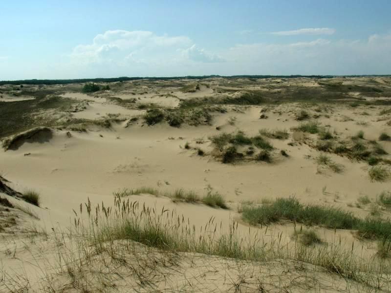 Aleshkov Sands Aleshkov Sands