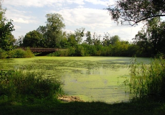 Lake Chernoy, Smela, Black Lake, Smila title=Lake Black, Smile title=Black Lake, Smile title=Lake Black, Smile title=Black Lake, Smile ></p><p class = pimg><img src=/images/pages/2014_09/f04c02d80f80dba437661ffd7b445a20.jpg alt=Black Lake, Smile title=Black Lake, Smile></p><p class = pimg><img src=/images/pages/2014_09/610e6e23aa108ba9d8cc0adff2f4f43e.jpg alt=Lake Black, Smile title=Lake Black, Smile></p><p class = pimg ><img src =/images/pages/2014_09/9637b78cc890ba1dd2ac6a1308a72556.jpg alt = Lake Black, Smile title=Lake Black, Smile ></p>