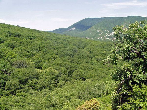 Гора Кубалач