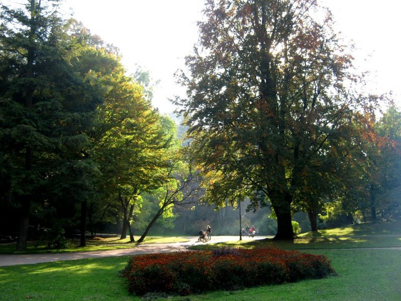 Стрыйский парк Стрыйский парк