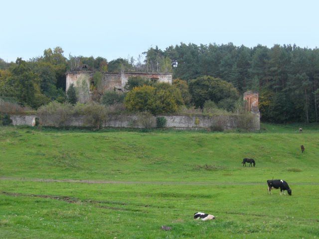 The ruins of the castle of Vishneveckikh, Taykoura The castle ruins of the Vishnevetsky, Taykurs title=The ruins of the castle of the Vishnevetsky , Taykours ></p>