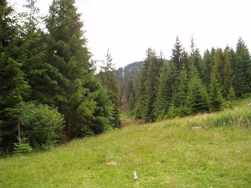 Suspended cable car Подвесная канатная дорога