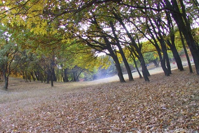 Урочище Тоннельная балка, Днепропетровск