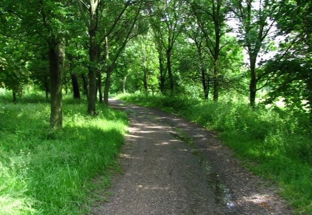 Парк Самойлових, Сміла