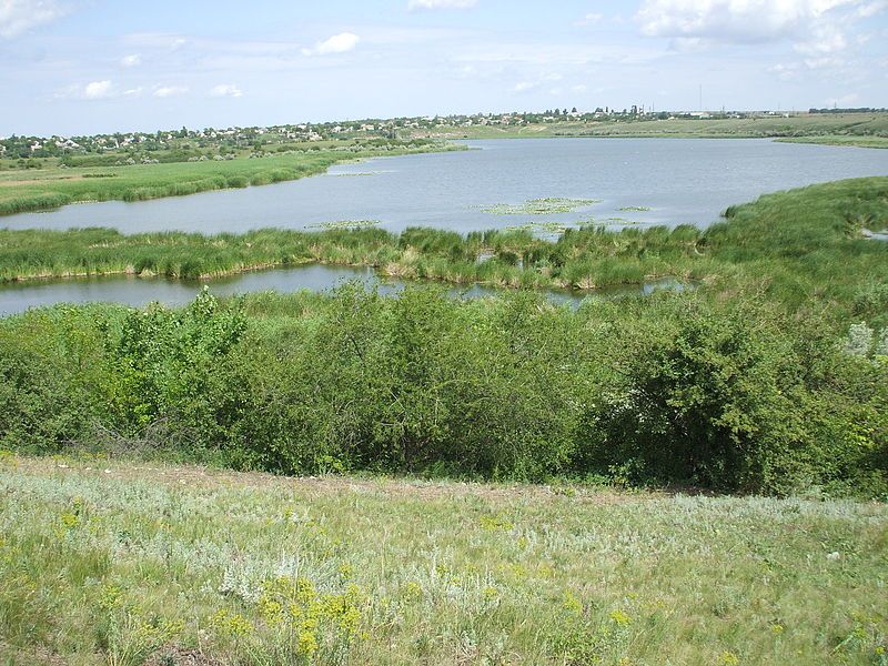 Крепость Тягин, Тягинка