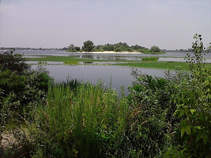 Zhukov Island, Kiev