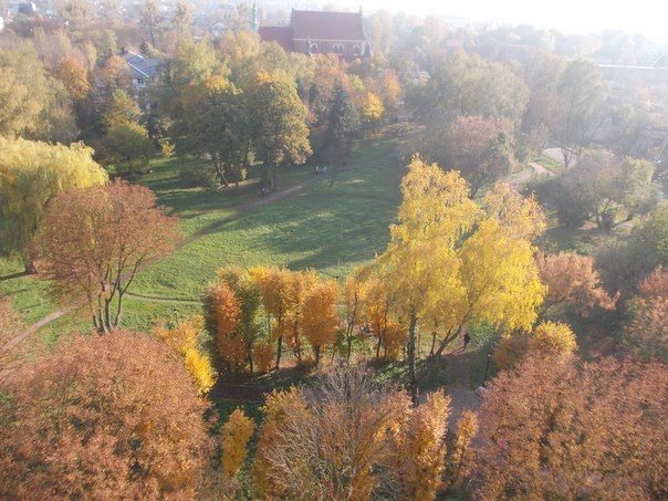 Замарстинівський лісопарк Замарстыновский парк