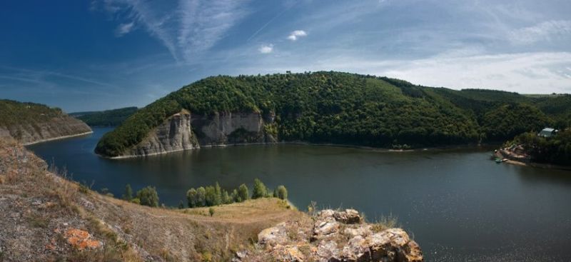 Врублівецький ліс