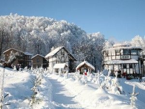 Гора Цецино, Черновцы