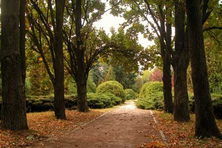 Сырецкий дендропарк Сырецкий дендропарк