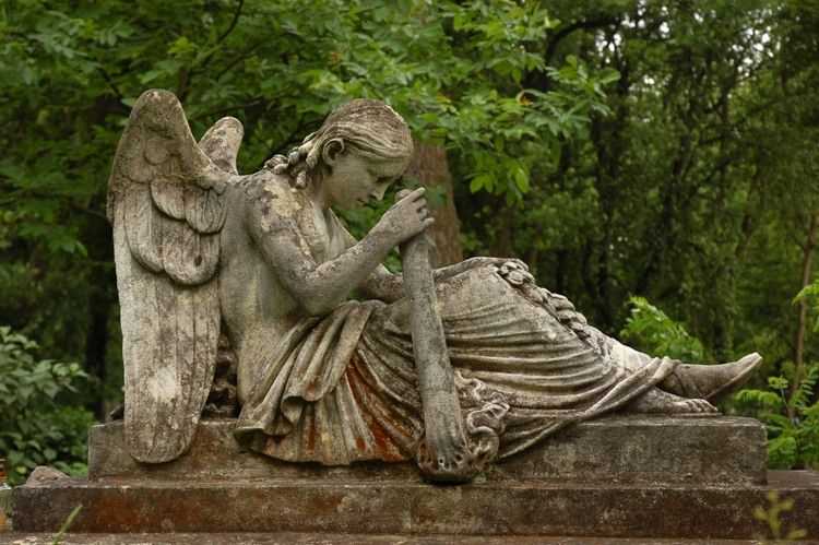 National Historical and Cultural Museum-Reserve National Historic- cultural museum-reserve