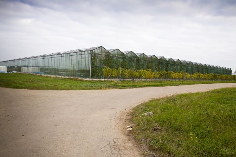 Винзавод Винтрест, Великодолинське