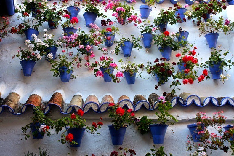 The most floral courtyard in Cordoba