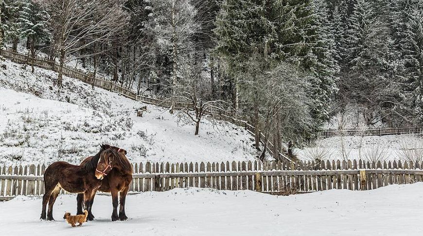 Contrast March: Top 10 photos of the month by National Geographic
