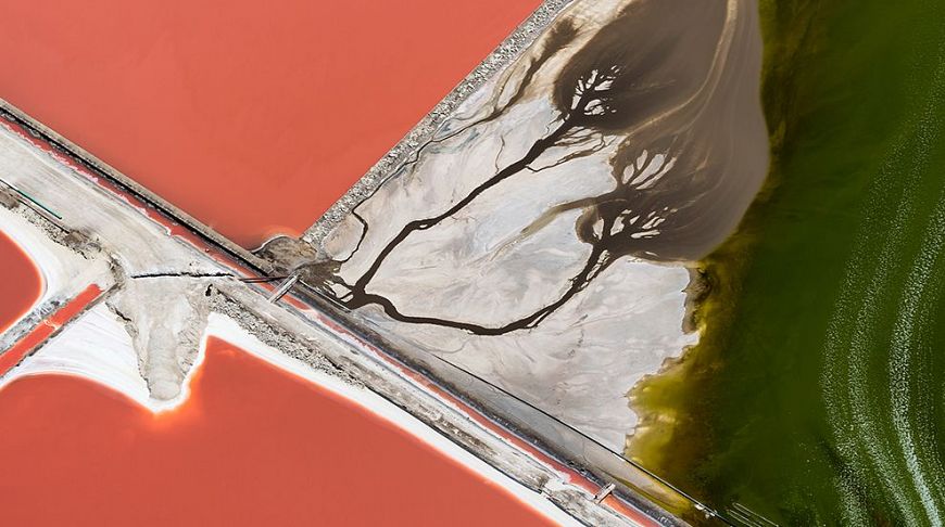 Contrast March: Top 10 photos of the month by National Geographic