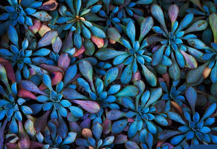 The natural beauty of the Earth in photos