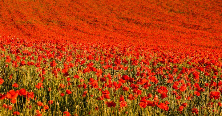 The natural beauty of the Earth in photos