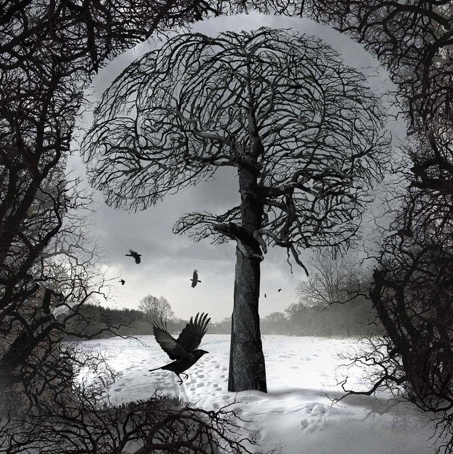 The Dark Side of Modern Society