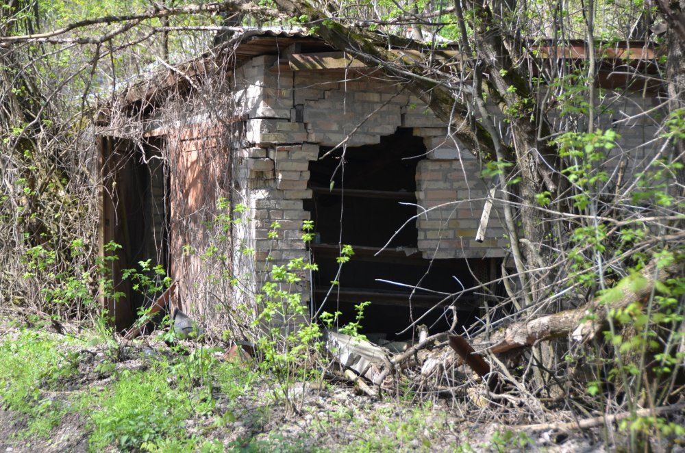 Чорнобиль 30 років потому: знімки міст, застиглих у часі