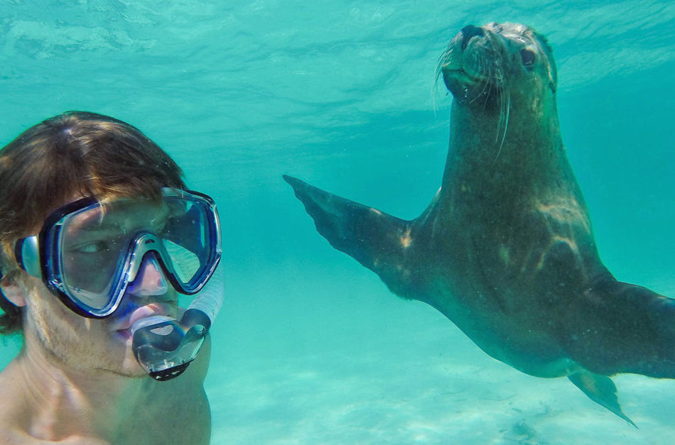 24 most original and fun selfi from travel