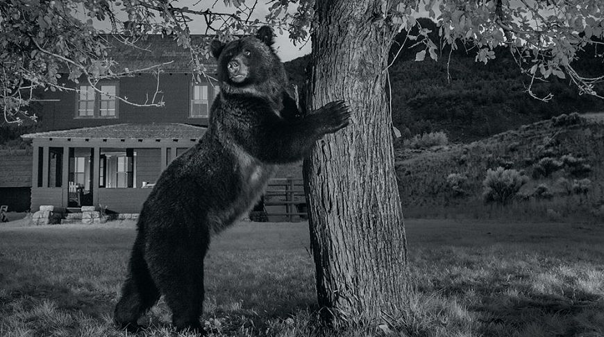 Досконалість природи: 10 неймовірних фотографій квітня від National Geographic