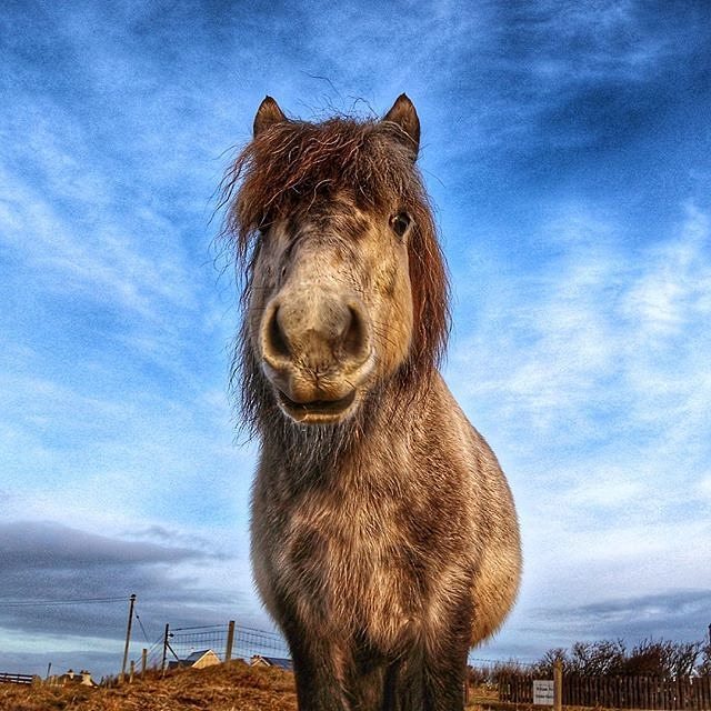 Неосяжна Шотландія: дивовижні знімки з Instagram