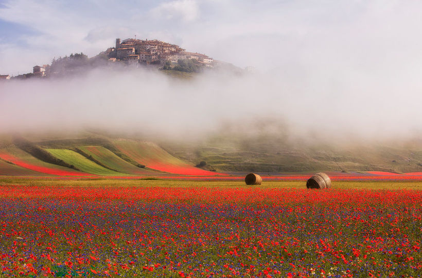 Blog - 25 stunning images that the world around is constantly changing color 25 stunning images that the world is constantly changing color