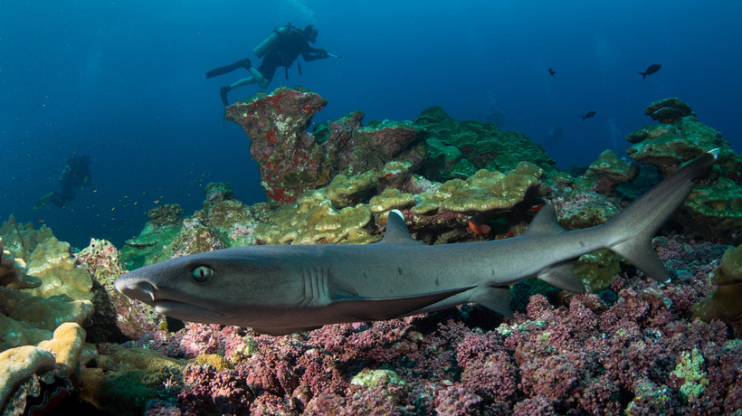 5 кращих місць для пошуку скарбів, де є реальний шанс, що вам пощастить