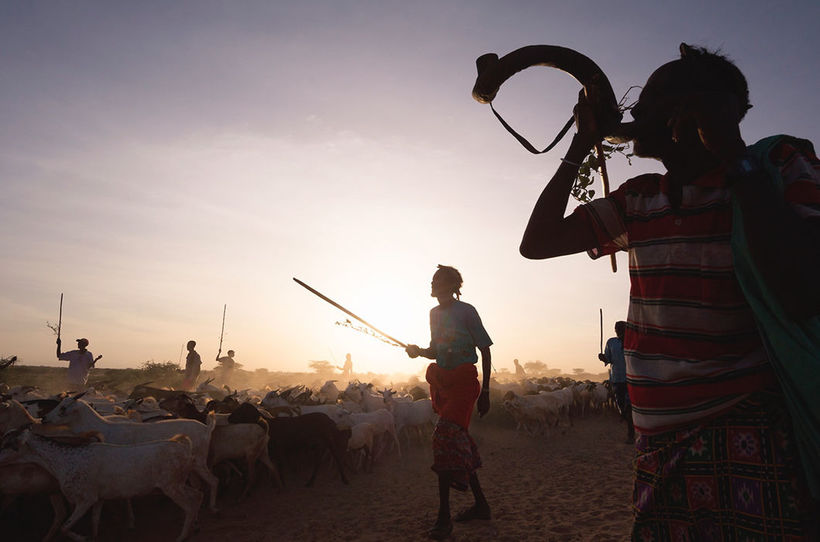 Blog - 29 photos of Kenya proving that Africa needs to be seen with its own eyes 29 photos of Kenya proving that Africa should be seen eyes