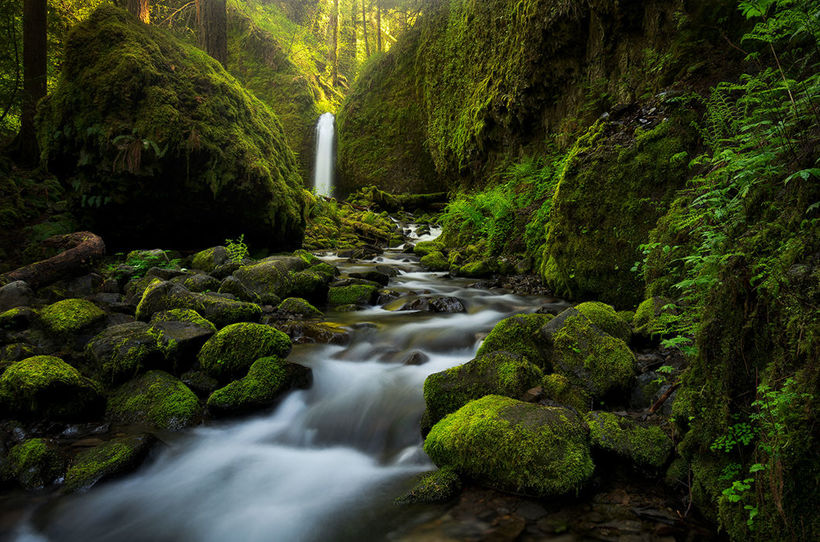 Blog - 25 stunning images that the world around is constantly changing color 25 amazing shots that the world around is constantly changing color