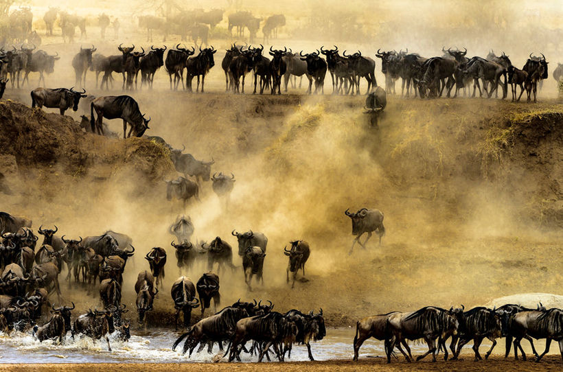 Blog - 25 stunning images that the world around is constantly changing color 25 amazing shots that the world around is constantly changing color