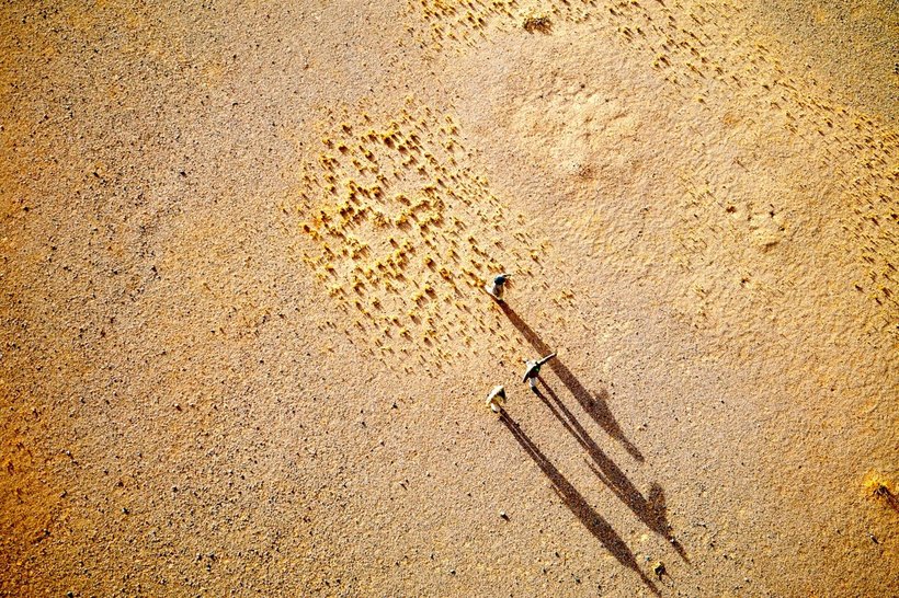 Блог - 25 зачаровують знімків дикої природи Намібії, від який прискорюється пульс 25 зачаровують знімків дикої природи Намібії, від який прискорюється пульс