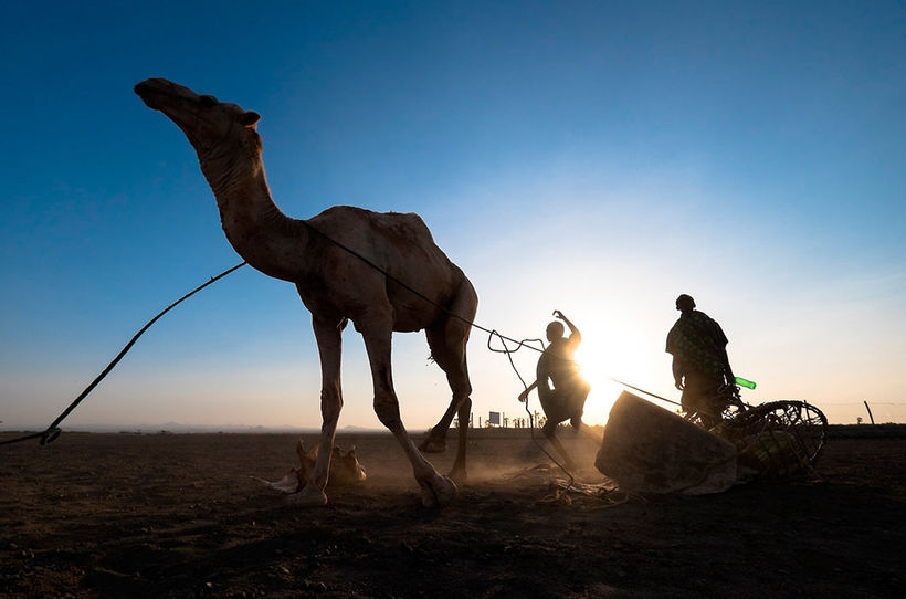 Blog - 29 pictures of Kenya, showing that Africa must be seen with my own eyes Kenya 29 photos proving that Africa must be seen with my own eyes