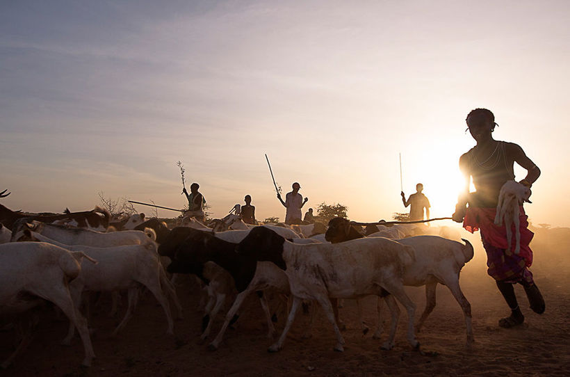 Blog - 29 photos of Kenya proving that Africa needs to be seen with my own eyes Kenya 29 photos proving that Africa must be seen with my own eyes