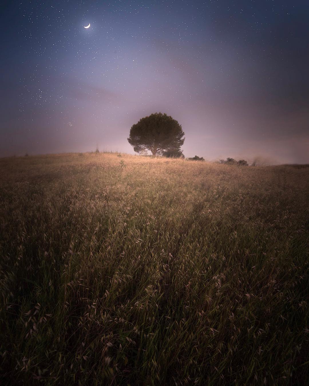 Красиві пейзажі Джессі Моррісона Красиві пейзажі Джессі Моррісона