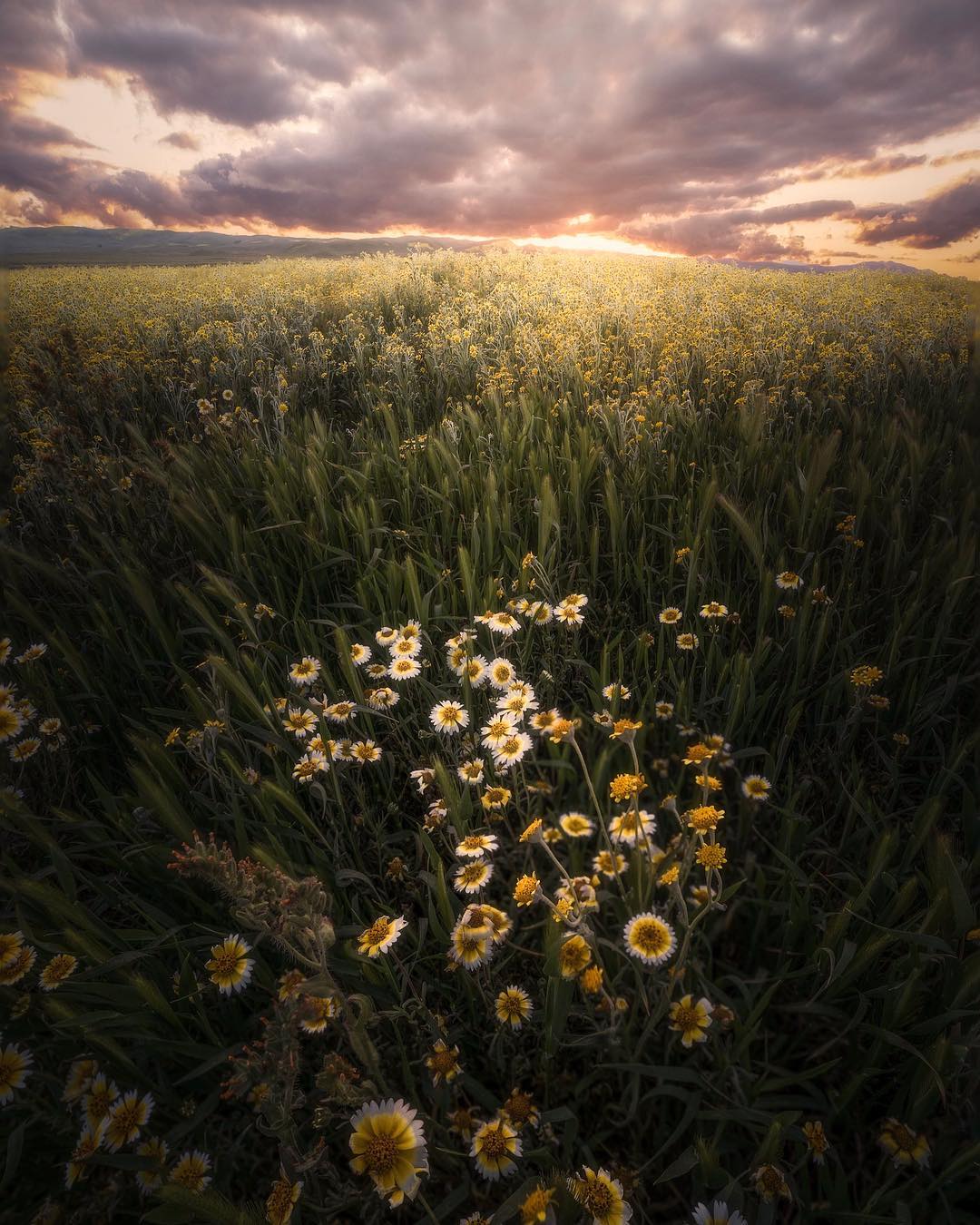 Красиві пейзажі Джессі Моррісона Красиві пейзажі Джессі Моррісона