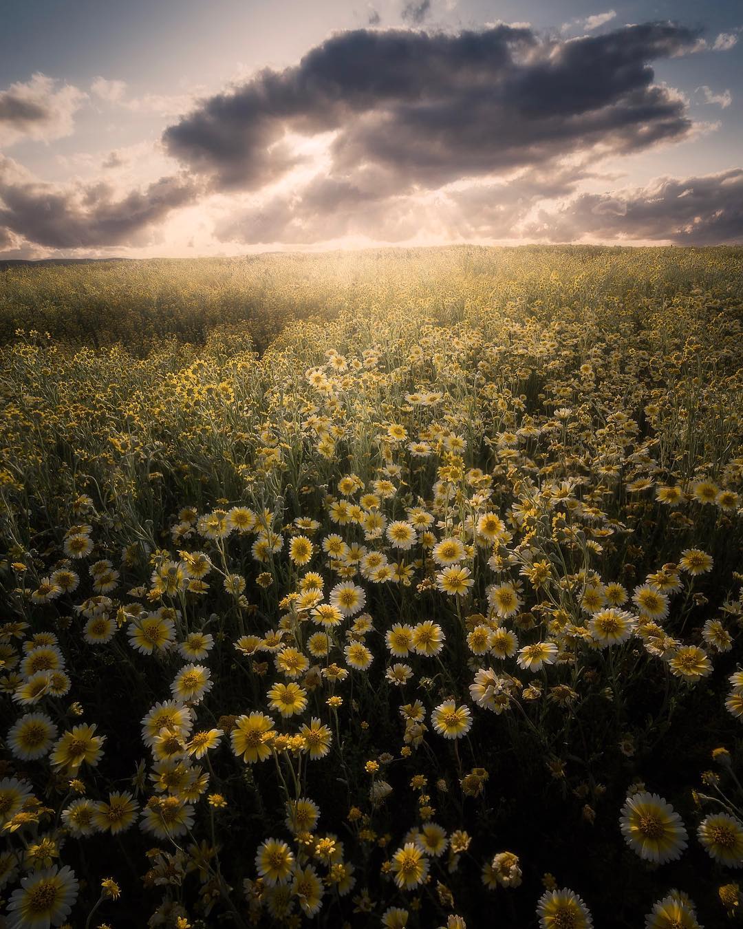 Красиві пейзажі Джессі Моррісона Красиві пейзажі Джессі Моррісона