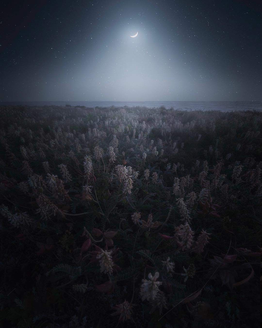 Красиві пейзажі Джессі Моррісона Красиві пейзажі Джессі Моррісона