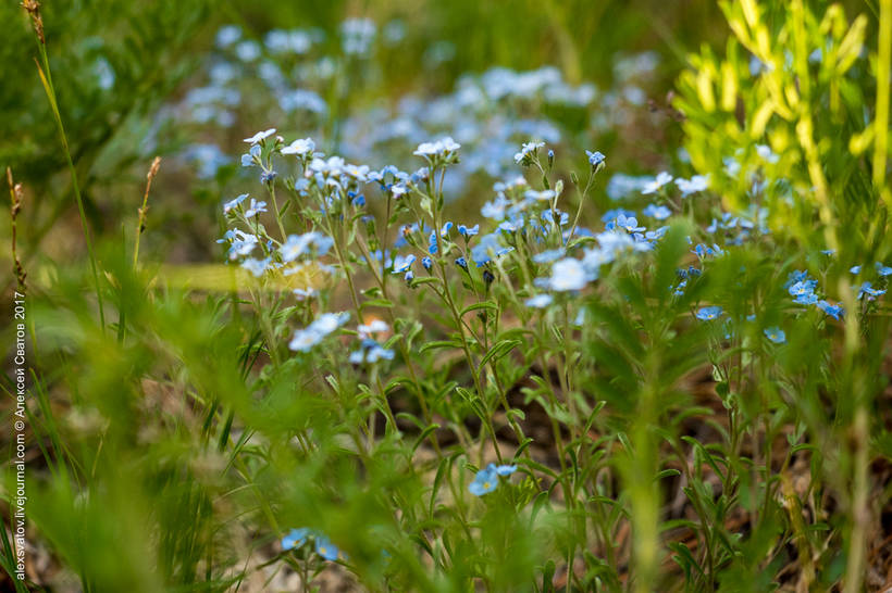 Blog - The Valley of the River Alla - one of the most beautiful places on earth The Valley of the River Alla is one of the most beautiful places on earth