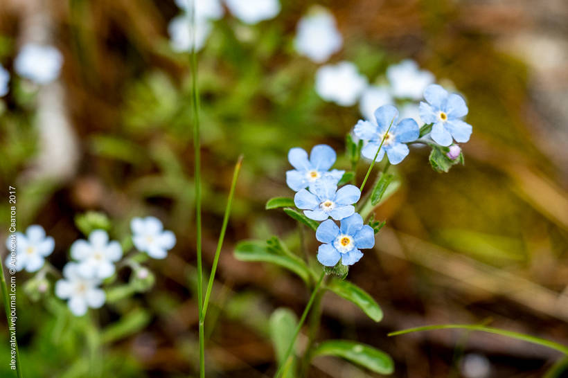 Blog - The Alla River Valley is one of the most beautiful places on earth The valley of the river Alla - one of the most beautiful places on earth