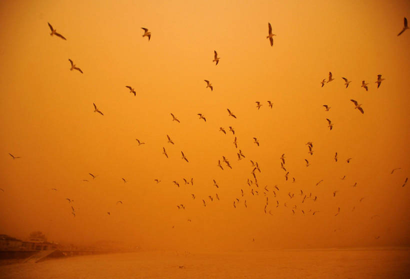 11 фото найнеймовірніших піщаних бур, схожих на наближення кінця світу