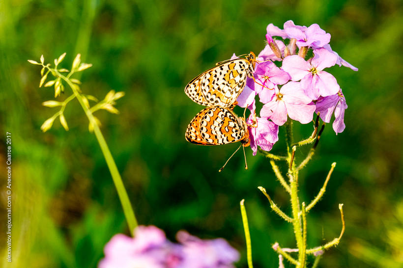 Blog - The Alla River Valley is one of the most beautiful places on the earth Valley Alla River is one of the most beautiful places on earth