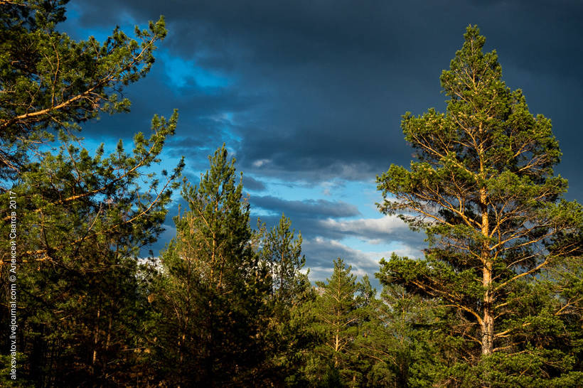 Блог - Долина річки Алла - одне з найкрасивіших місць на землі Долина річки Алла - одне з найкрасивіших місць на землі
