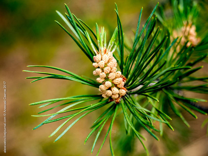 Blog - The Alla River Valley is one of the most beautiful places on earth Valley Alla River - one of the most beautiful places on earth