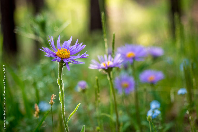 Blog - The Alla River Valley is one of the most beautiful places on earth The Valley of the River Alla - one of the most beautiful places on earth