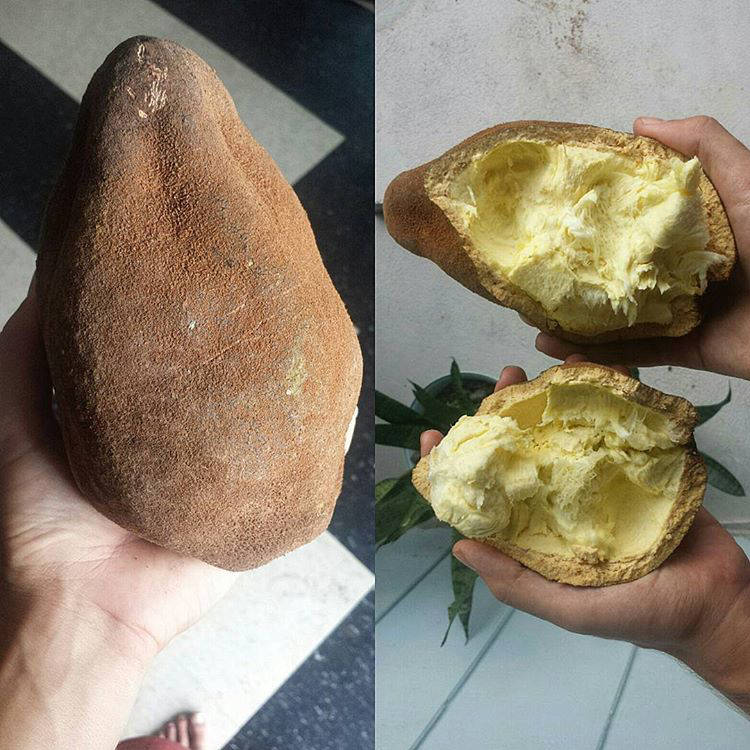 Блог - 20 дивних екзотичних фруктів, про існування яких ви не підозрювали 20 дивних екзотичних фруктів, про існування яких ви не підозрювали